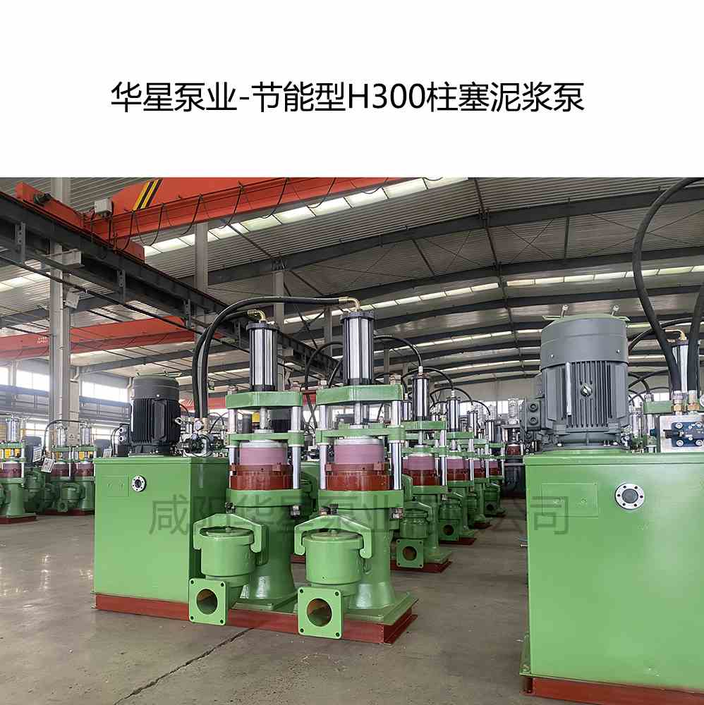 客戶購(gòu)買一臺(tái)節(jié)能型H300陶瓷柱塞泵