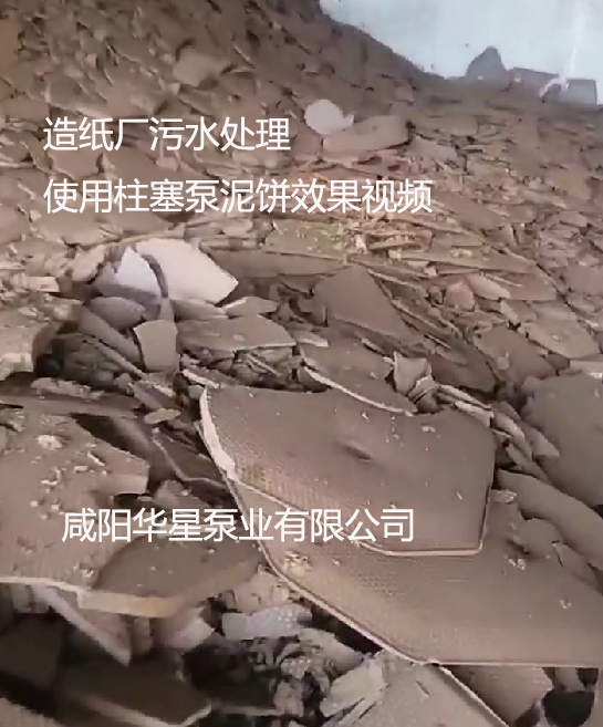 造紙廠(chǎng)污水處理使用柱塞泵泥餅效果視頻